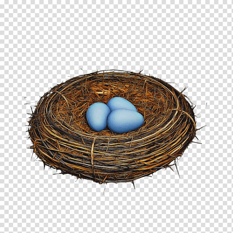 Robin Bird, Bird Nest, Duck, Drawing, Clutch, Egg, Oval, Twig transparent background PNG clipart