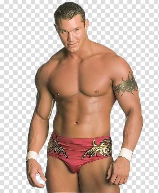 Randy Orton ( Legend Killer Gimmick ) Renders transparent background PNG clipart