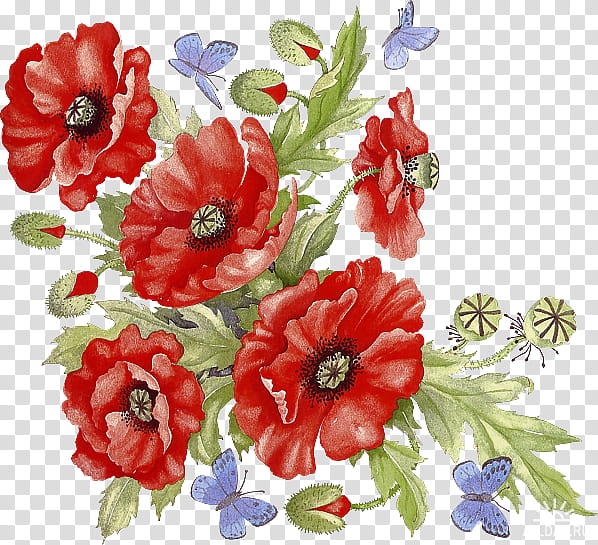Flowers, Common Poppy, Painting, Poster, Flower Arranging, Plant, Anemone, Cut Flowers transparent background PNG clipart