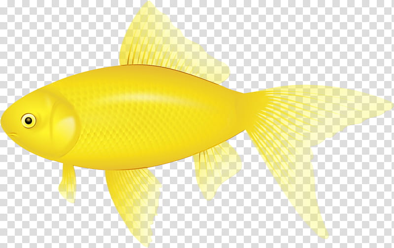 fish yellow fish fin goldfish, Watercolor, Paint, Wet Ink, Bonyfish transparent background PNG clipart
