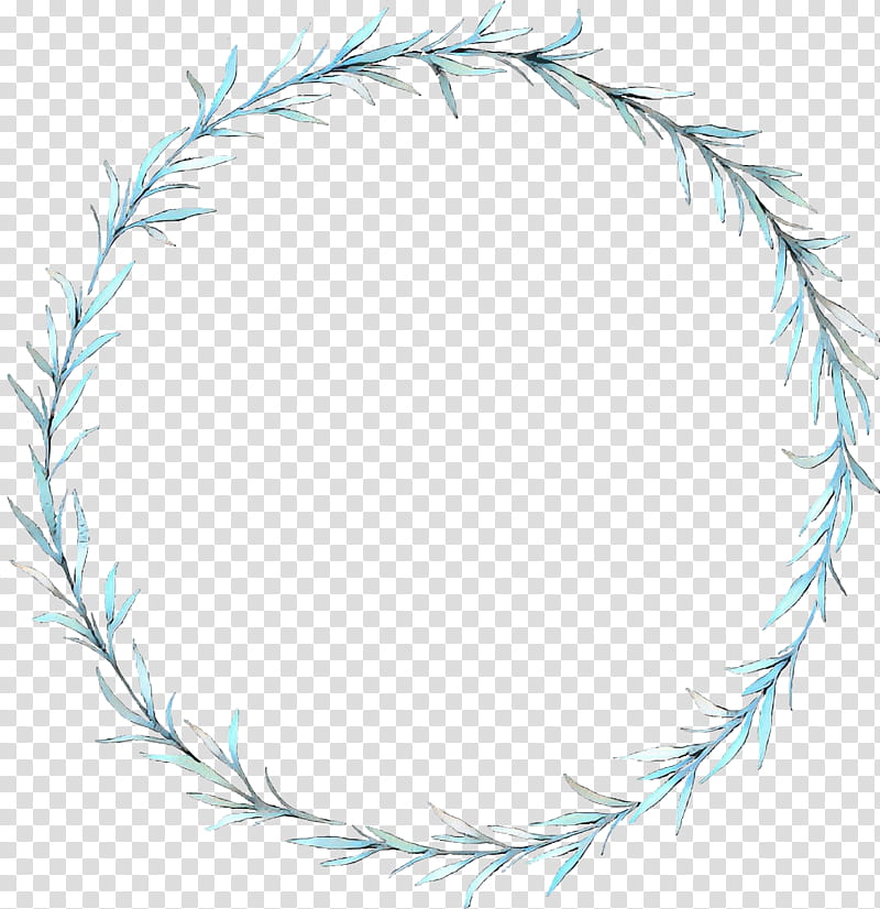 White Circle, Line, Feather, White Pine, Plant, Colorado Spruce, Pine Family transparent background PNG clipart