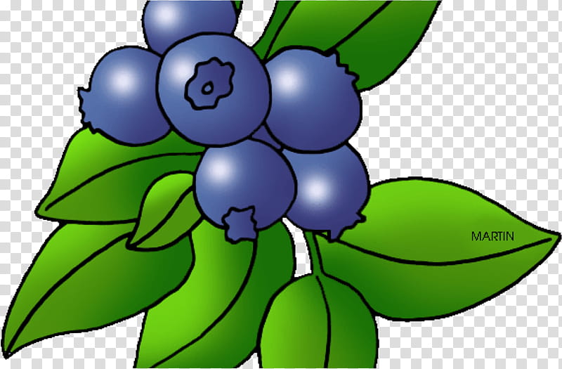 Green Leaf, Blueberry, Berries, Blueberry Pie, Blackberry, Raspberry, Bilberry, Fruit transparent background PNG clipart