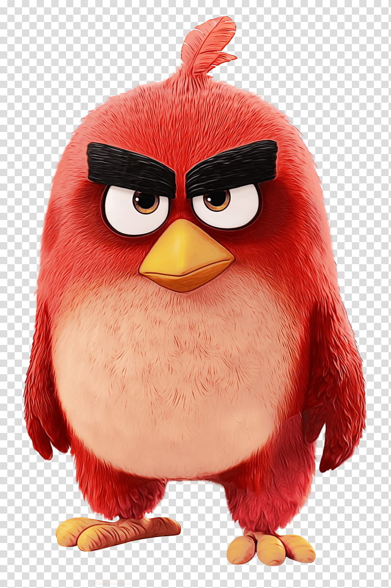 Angry Bird Penguin Flight Film Angry Birds Infant Beak Sky Transparent Background Png Clipart Hiclipart - angry birds red roblox png image with transparent background