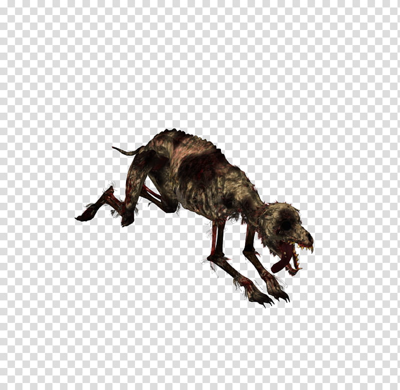 Undead Dogs xps mmd, brown skeleton transparent background PNG clipart