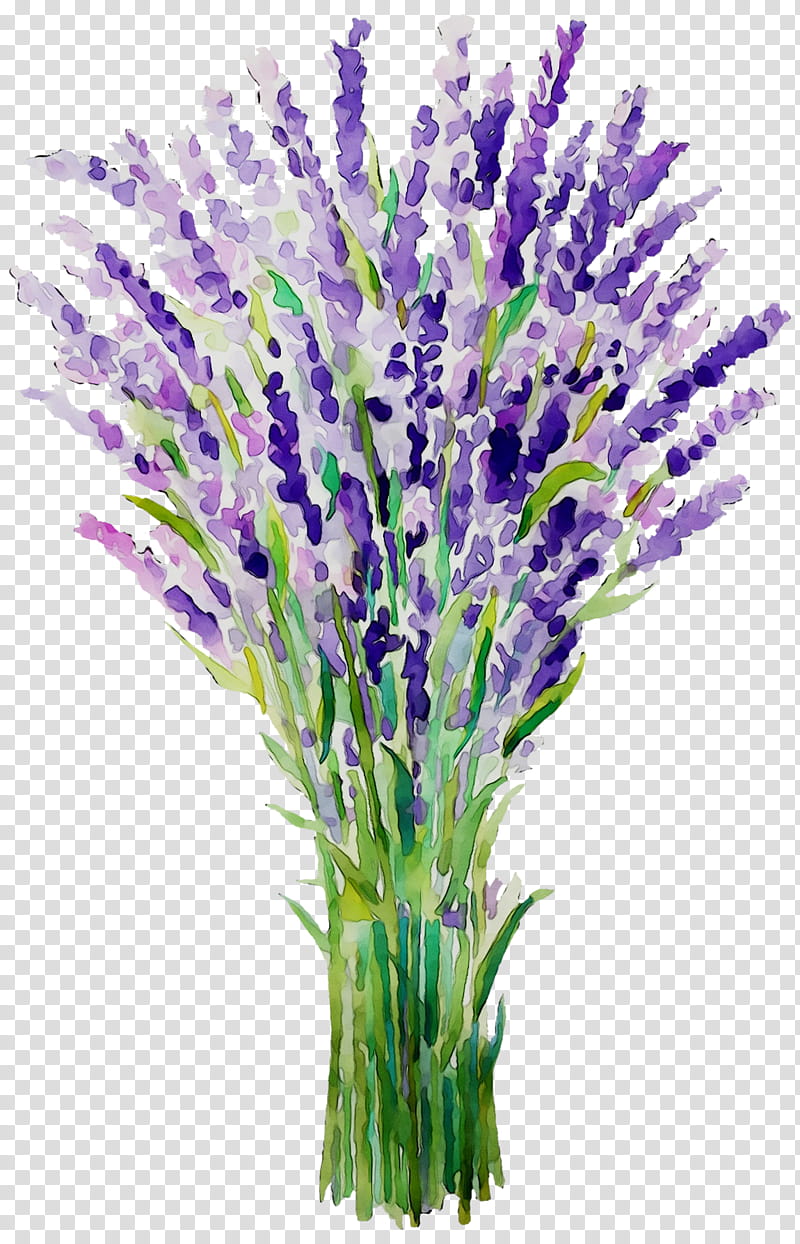 Flowers, English Lavender, French Lavender, Plant Stem, Cut Flowers, Grasses, Aquarium, Plants transparent background PNG clipart