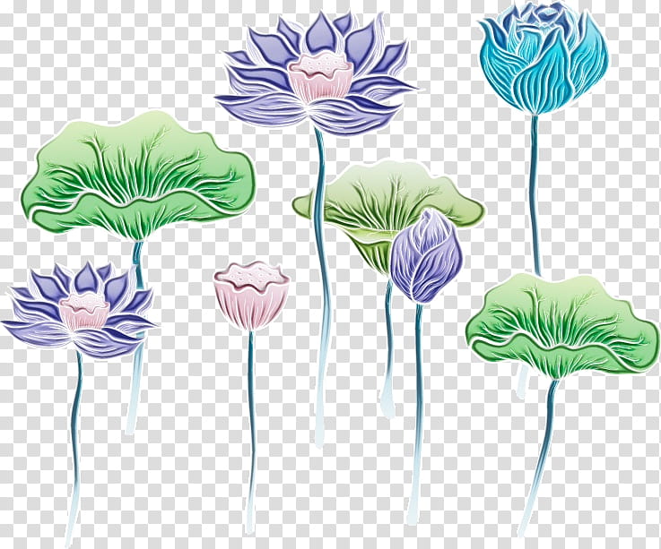 flower plant plant stem leaf tulip, Watercolor, Paint, Wet Ink, Water Lily, Aquatic Plant, Anemone, Poppy Family transparent background PNG clipart