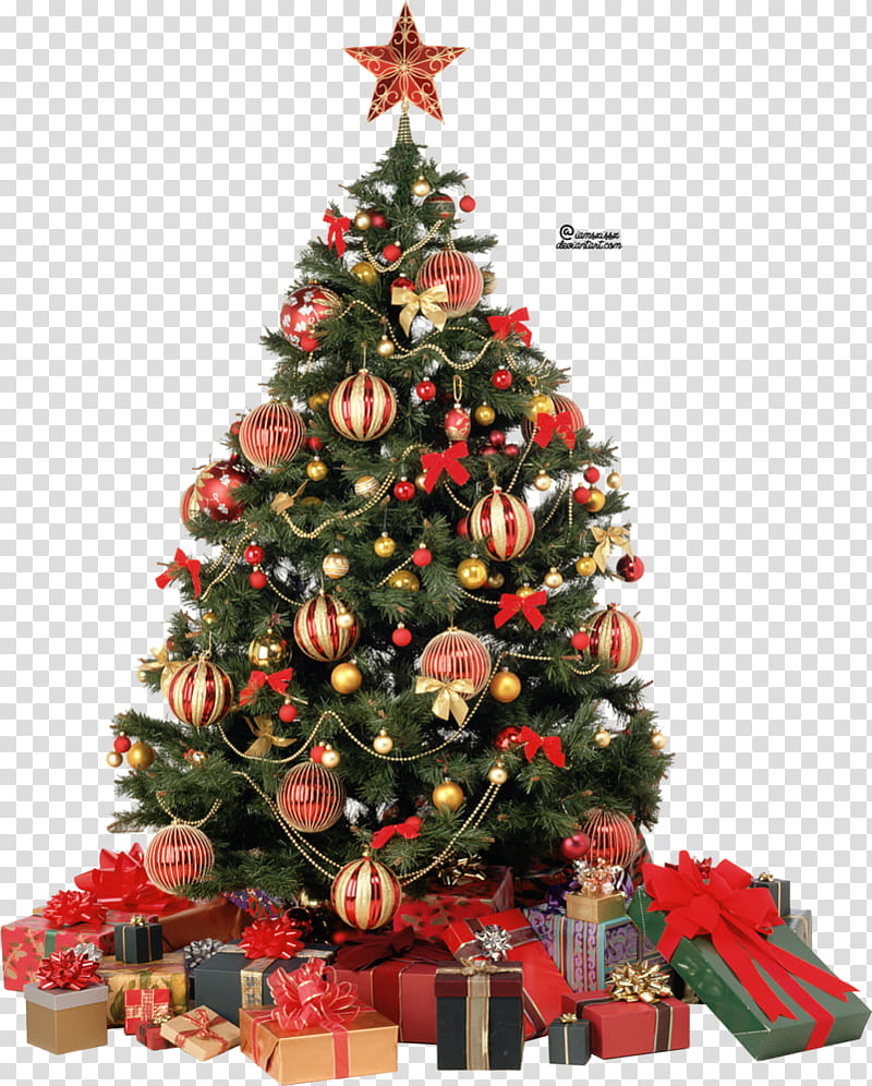 Christmas, green Christmas tree transparent background PNG clipart