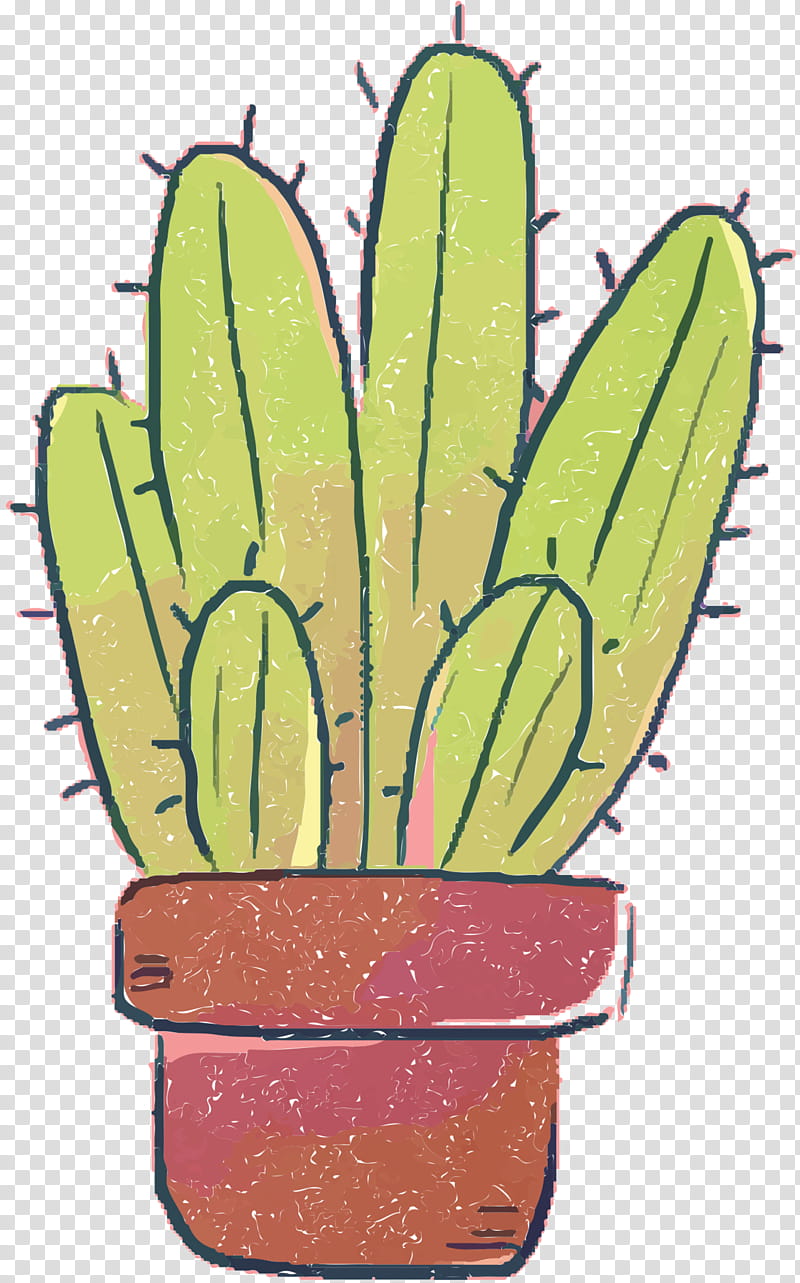 Cactus, Flowerpot, Plant Stem, Plants, Succulent Plant, Caryophyllales, Prickly Pear, Houseplant transparent background PNG clipart