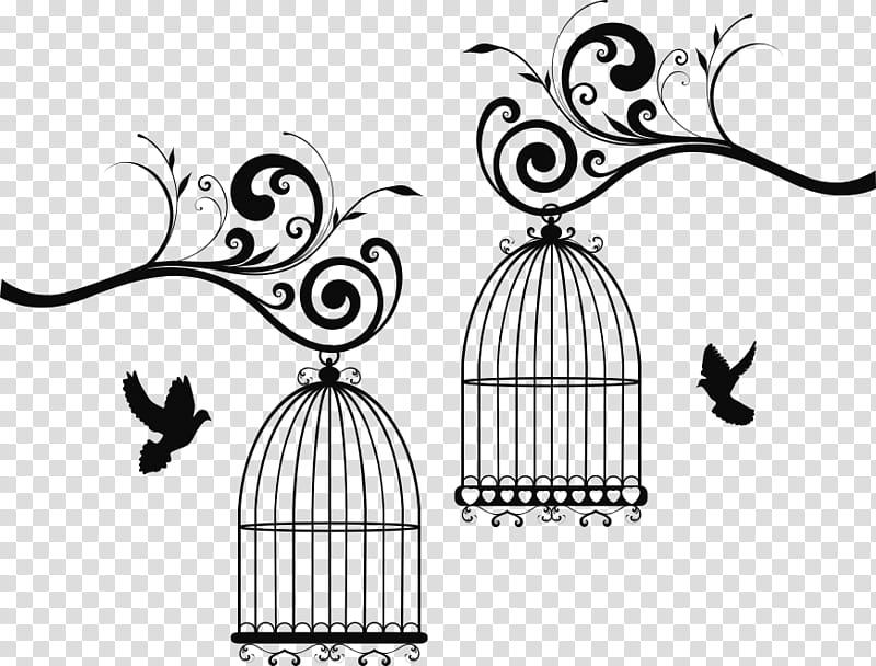 Black And White Flower, Bird, Birdcage, Silhouette, Black And White
, Flora, Line, Line Art transparent background PNG clipart