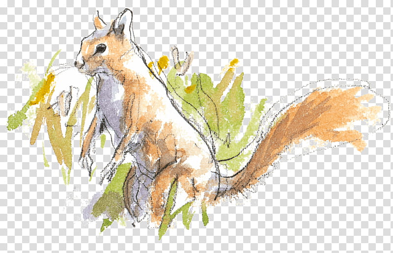 Tree Watercolor, RED Fox, Tree Squirrel, Red Squirrel, Drawing, Roux, Hazel, Macropods transparent background PNG clipart