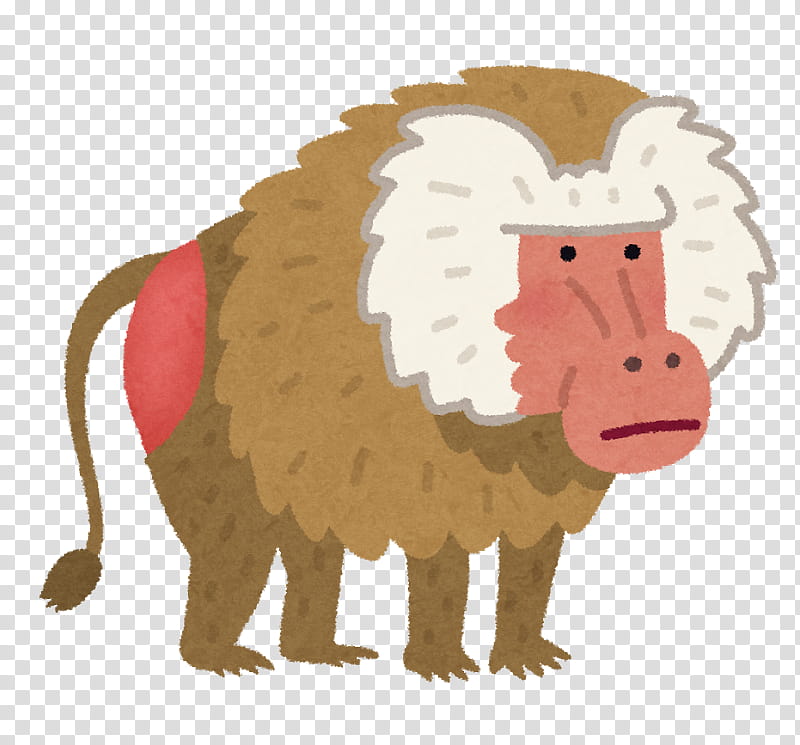 Monkey, Japanese Macaque, Hamadryas Baboon, Ape, Mandrill, Human, Baboons, Cartoon transparent background PNG clipart