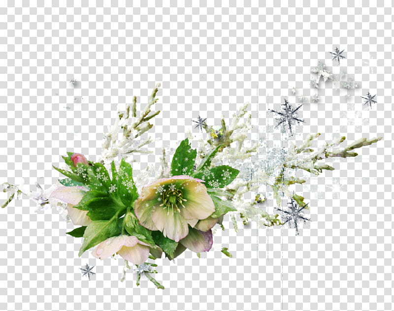 Floral design, Flower, Plant, Bouquet, Cut Flowers, Petal, Floristry, Flower Arranging transparent background PNG clipart