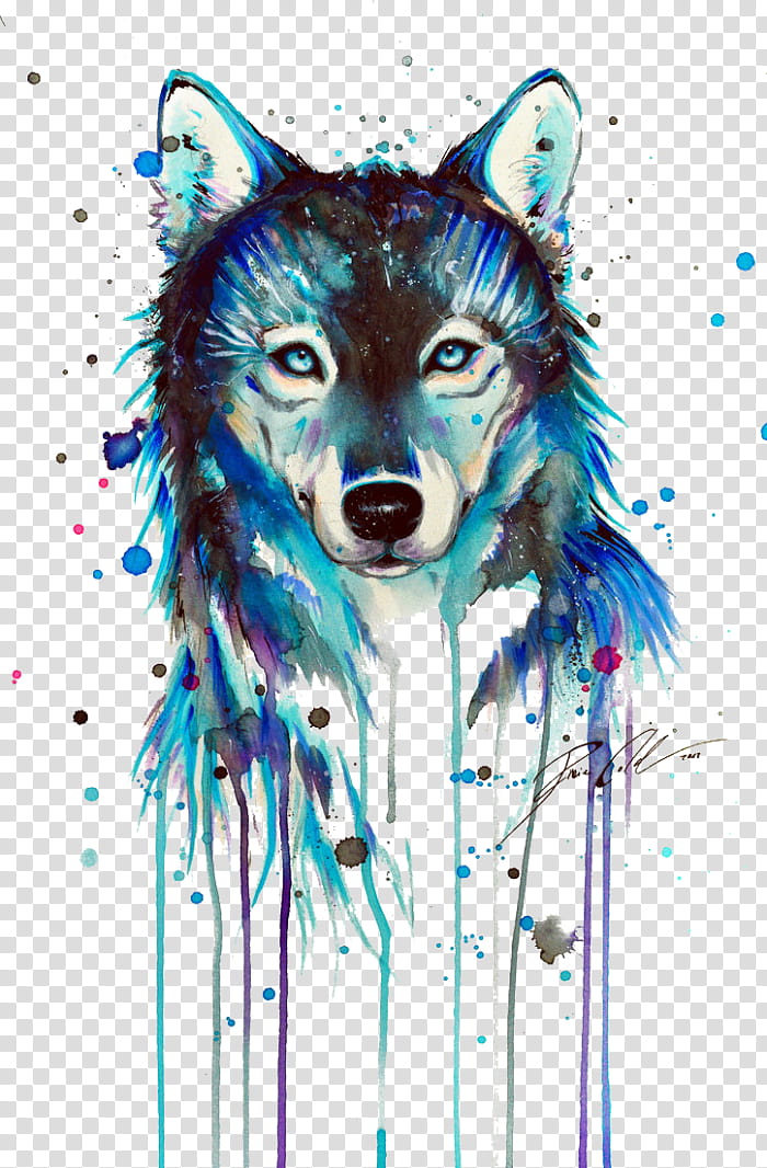 Wolf Drawing, Watercolor Animals, Watercolor Painting, Printmaking, Black Wolf, Snout, Siberian Husky, Wildlife transparent background PNG clipart