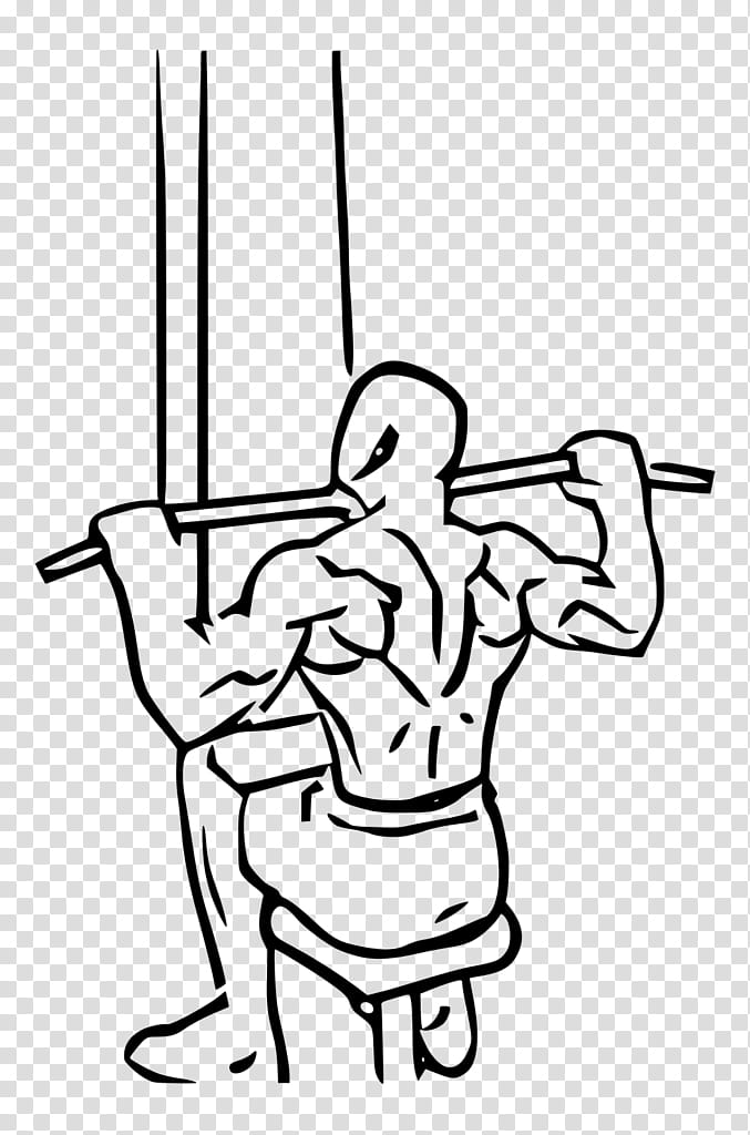 Exercise, Pulldown Exercise, Pullup, Strength Training, Fitness Centre, Biceps, Latissimus Dorsi Muscle, Weight TRAINING transparent background PNG clipart