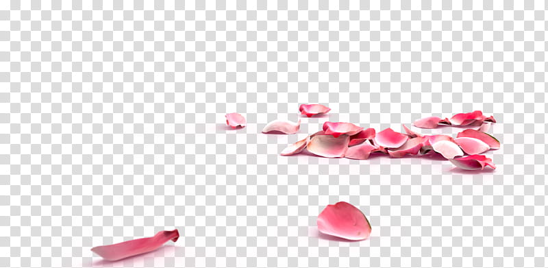 Rose Petal, Pink rose petal floating material, pink rose petals transparent  background PNG clipart