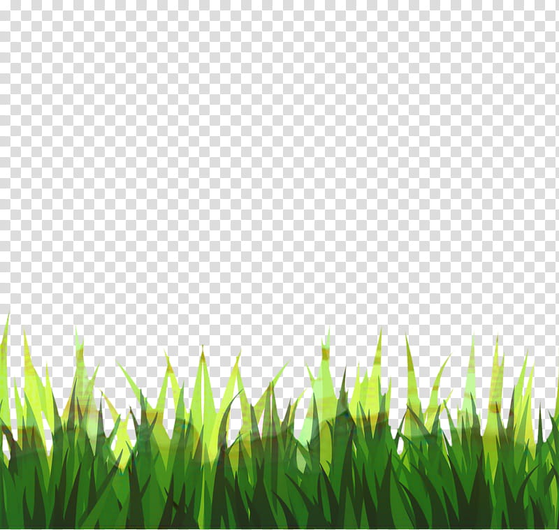 Green Grass, Timelapse , Lawn, Footage, Video, Video Clip, Meadow, Black And White transparent background PNG clipart