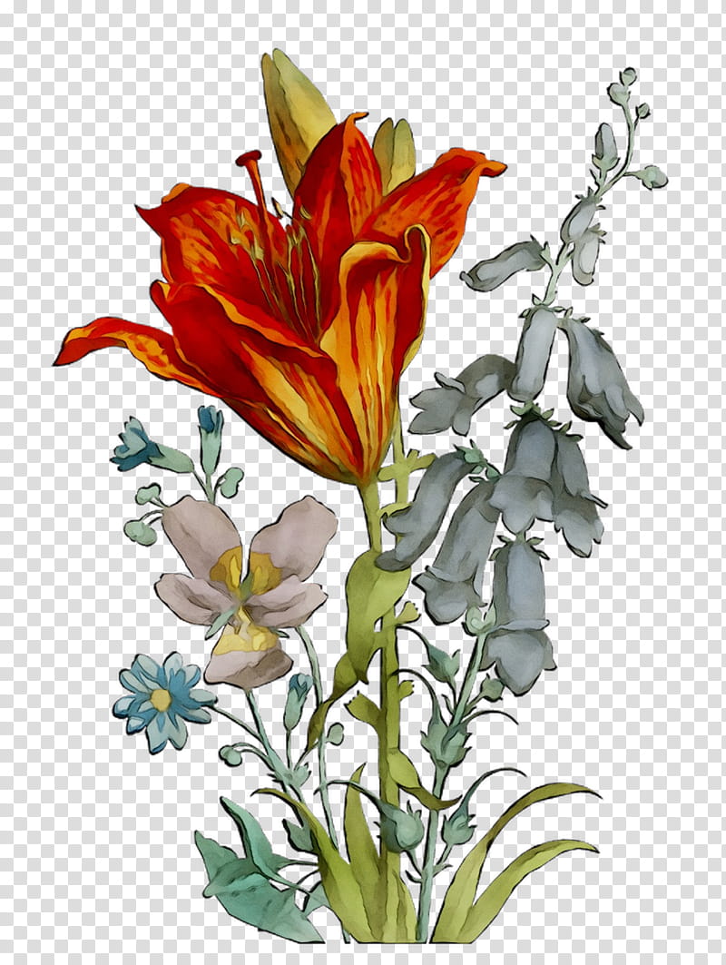 Watercolor Flower, Floral Design, Cut Flowers, Flower Bouquet, Plant Stem, Canna, Plants, Lily M transparent background PNG clipart