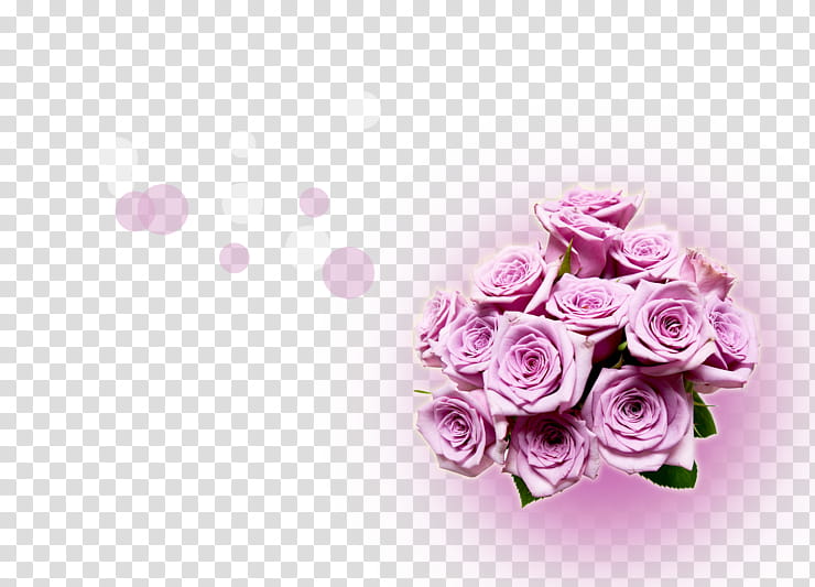 Pink Flowers, Flower Bouquet, Rose, Garden Roses, Tulip, Blue Rose, Bride, Rose Family transparent background PNG clipart