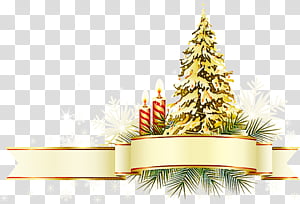 Christmas tree, Colorado Spruce, Christmas Decoration, Oregon Pine, Christmas 
, Christmas Ornament, Fir, Plant transparent background PNG clipart thumbnail