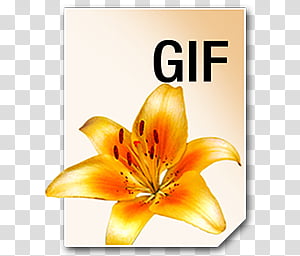 Totally Transparent — Transparent Flower GIF Made by Totally