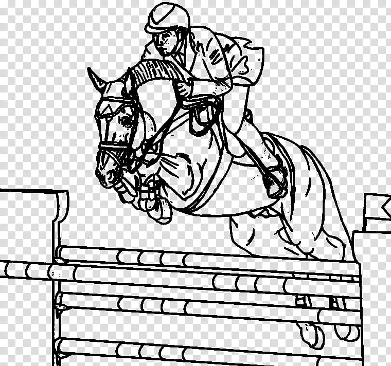 horse show jumping coloring book horse jumping obstacles