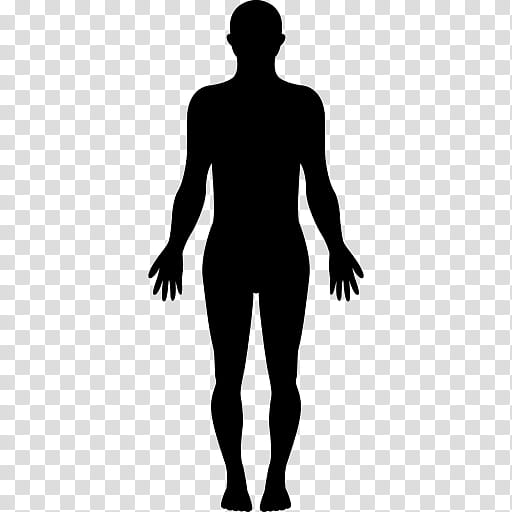 standing silhouette male joint human, Shoulder, Leg, Human Body, Muscle, Back transparent background PNG clipart