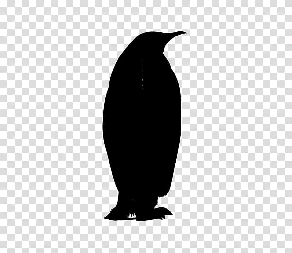 Bird Silhouette, Penguin, Beak, Flightless Bird, Emperor Penguin, Blackandwhite transparent background PNG clipart