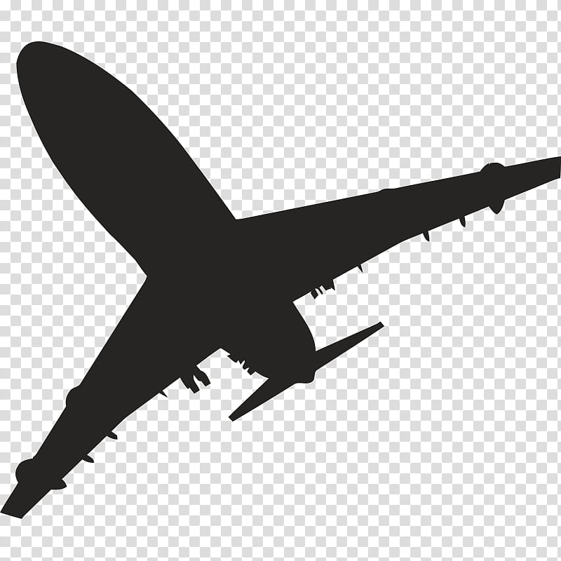 Bird Silhouette, Airplane, Aerospace Engineering, Air Force, Line, Beak, Air Travel, Flight transparent background PNG clipart