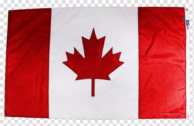 Canada Maple Leaf, Canada Day, Flag Of Canada, National Flag, Name Of Canada, National Symbols Of Canada, Country, Mari Usque Ad Mare transparent background PNG clipart
