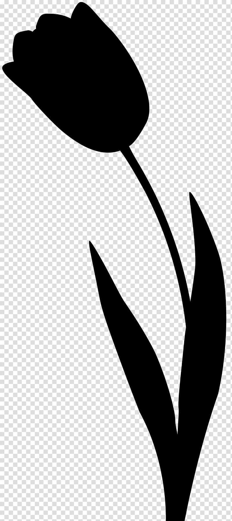 Flower Line Art, Silhouette, Leaf, Plant Stem, Plants, Black M, Blackandwhite, Tulip transparent background PNG clipart