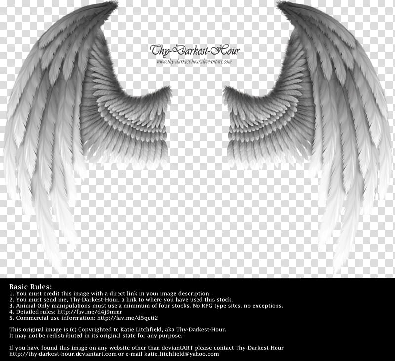 Winged Fantasy Silver, gray wings illustration transparent background PNG clipart