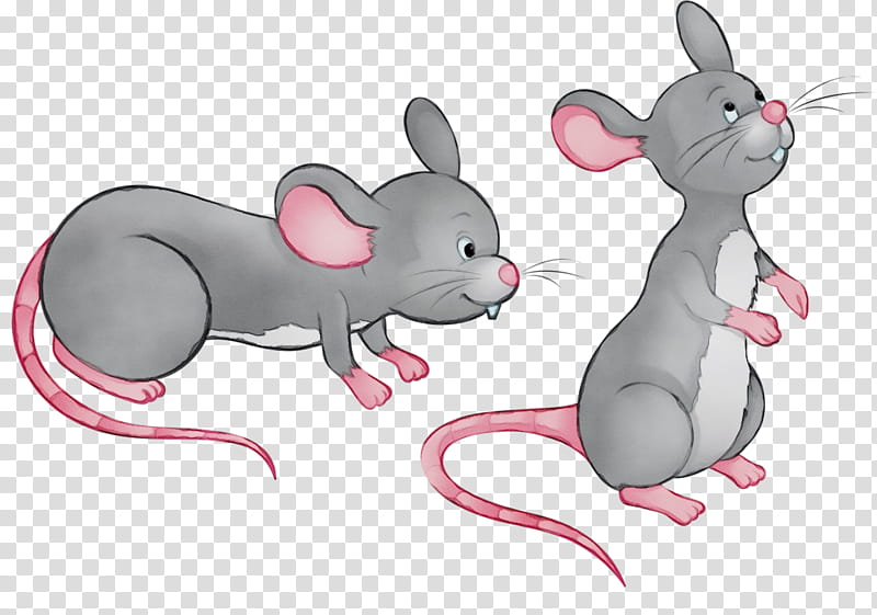 rat mouse cartoon muridae pest, Watercolor, Paint, Wet Ink, Pink, Muroidea, Snout transparent background PNG clipart