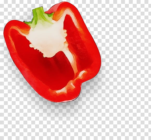 bell pepper pimiento red bell pepper piquillo pepper bell peppers and chili peppers, Watercolor, Paint, Wet Ink, Paprika, Food, Vegetable, Capsicum transparent background PNG clipart