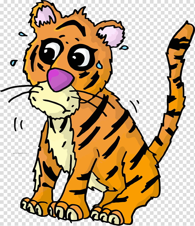 Cats, Tigger, Crying, Siberian Tiger, 2018, Wildlife, Whiskers, Tail transparent background PNG clipart