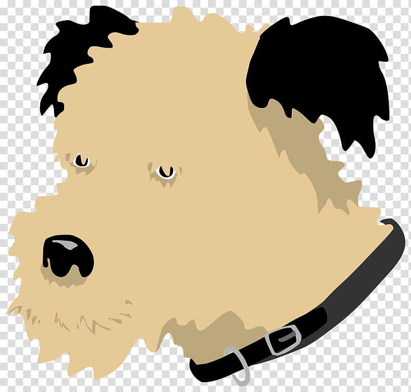 Bear, Boxer, Puppy, Pet, Computer Font, Wolf, Dog, Nose transparent background PNG clipart