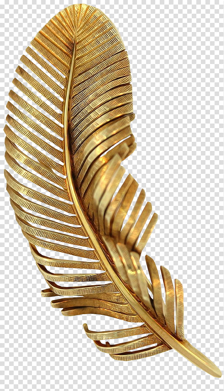 K Watchers, gold-colored bird feather transparent background PNG clipart