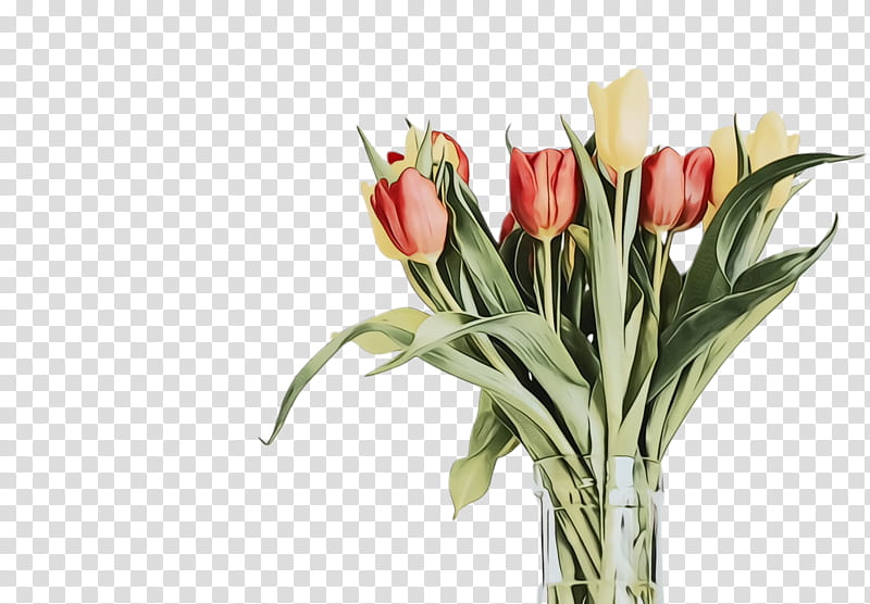 Lily Flower, Tulip, Flora, Blossom, Urdu Poetry, Rekhta, Love, Shayar transparent background PNG clipart