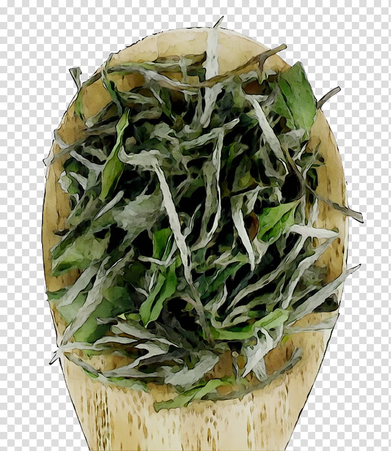 Grass, Bai Mudan, Herb, Plant, Flower, Cuisine, Ingredient, Perennial Plant transparent background PNG clipart