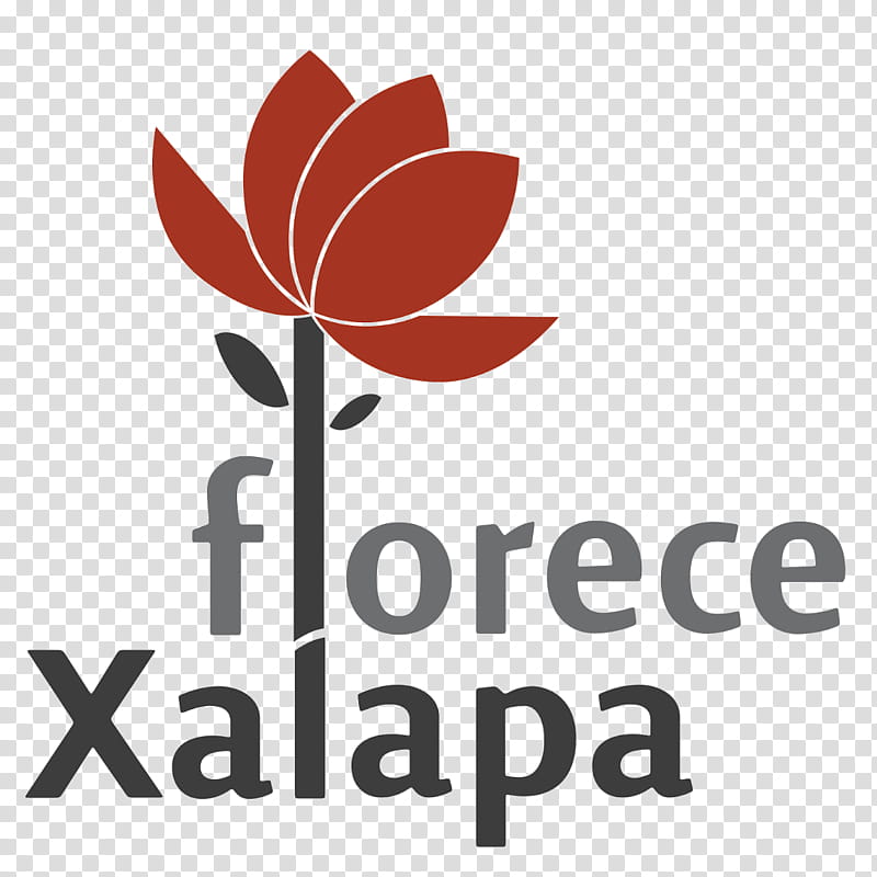 Flower Logo, H Ayuntamiento, Dif, Cmas, Local Government, Xalapa, Text, Area transparent background PNG clipart