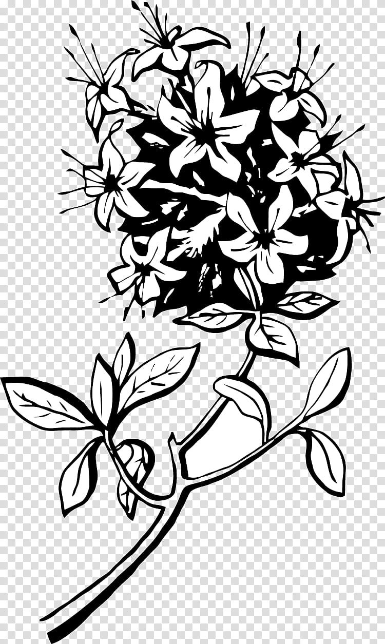 Flower Line Art, Drawing, BORDERS AND FRAMES, Visual Arts, Floral Design, Leaf, Handicraft, Blackandwhite transparent background PNG clipart