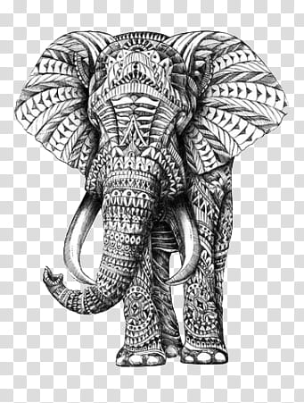 Realistic Elephant Sketch by MkDigwal on DeviantArt