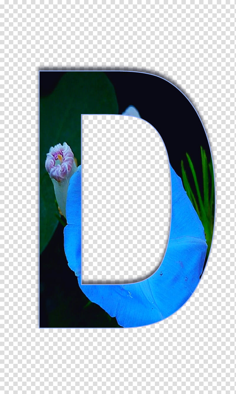 Blue Flower Frame, Cobalt Blue, Frames, Rectangle, Turquoise, Circle, Oval, Morning Glory transparent background PNG clipart