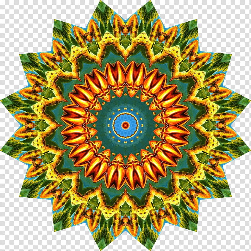 Flower Line Art, Rangoli, Drawing, Kolam, Ornament, Sunflower, Symmetry transparent background PNG clipart