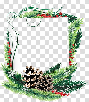 Christmas decoration, Watercolor, Paint, Wet Ink, Colorado Spruce, Oregon Pine, White Pine, Fir transparent background PNG clipart thumbnail