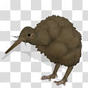 Spore creature Kiwi transparent background PNG clipart
