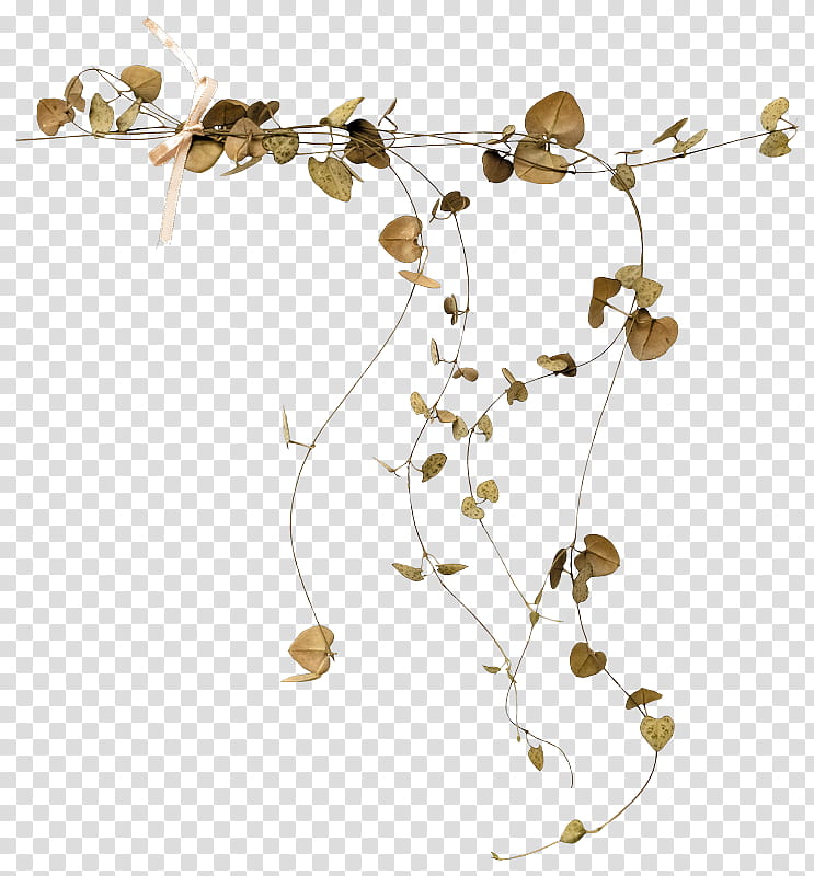 Aesthetic Brown Flowers PNG Images