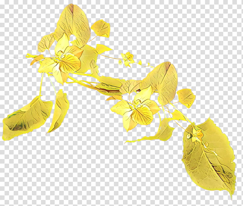 yellow flower plant petal flowering plant, Cartoon, Forsythia transparent background PNG clipart