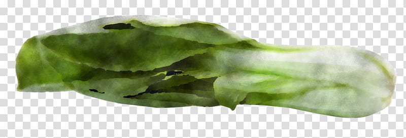 leaf leaf vegetable plant vegetable spinach, Choy Sum, Food, Celtuce, Flower transparent background PNG clipart