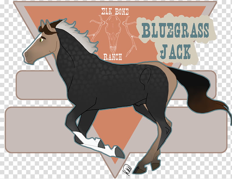 EBR Bluegrass Jack transparent background PNG clipart