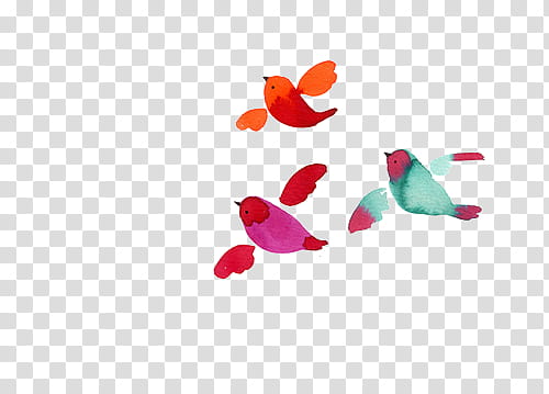 Watercolor Bird s, red, purple, and green birds illustration transparent background PNG clipart